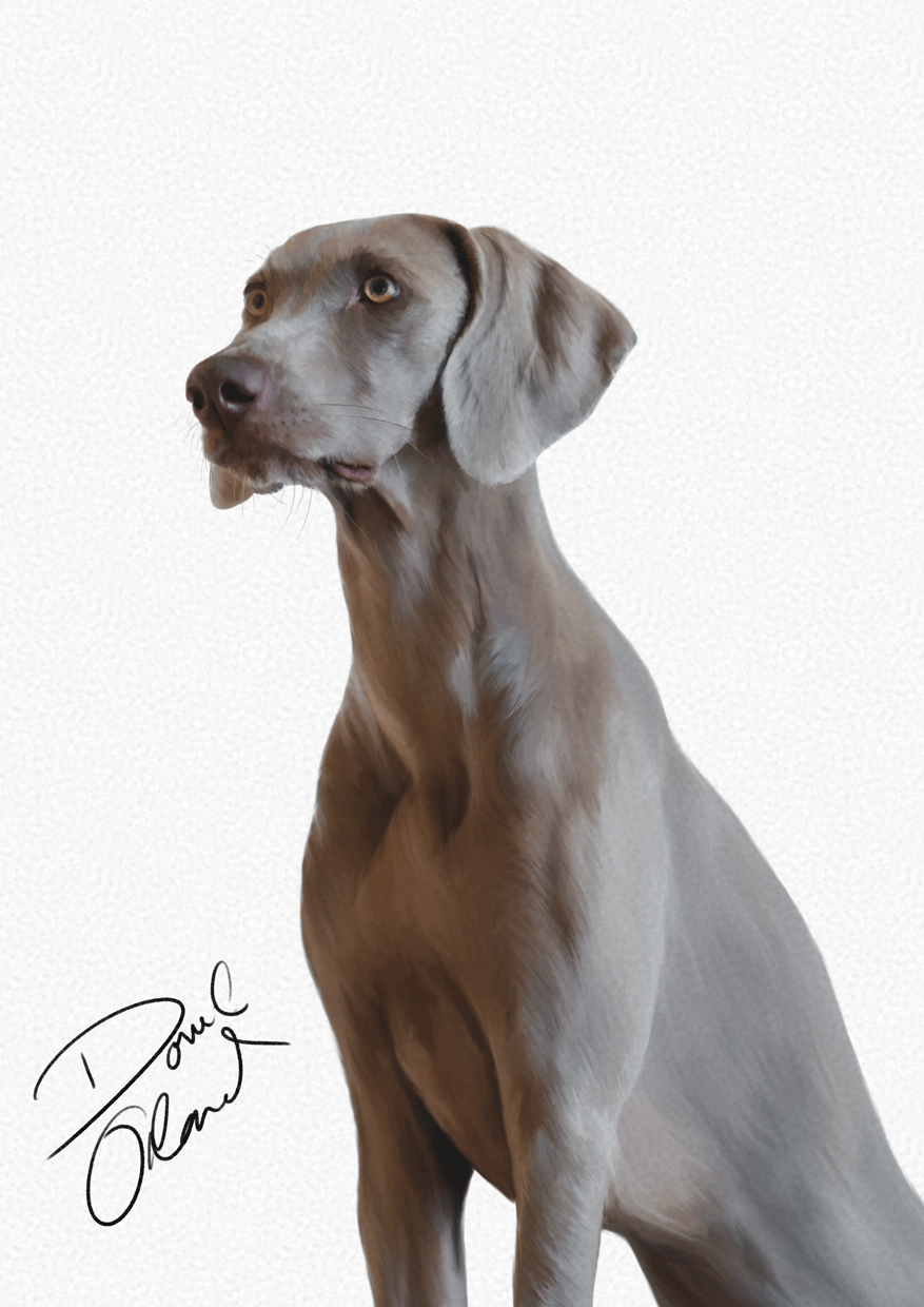 painting of dog portrait - sample 02