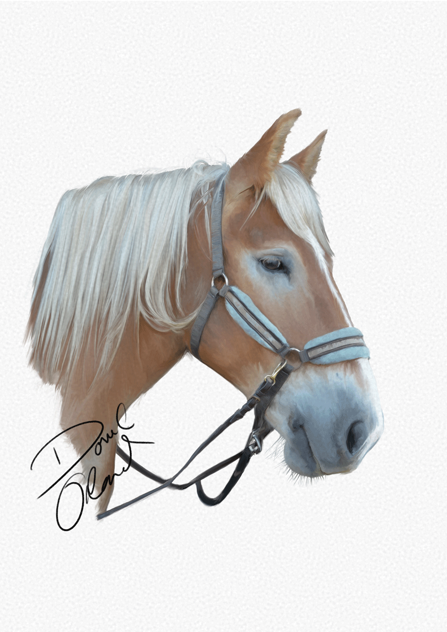 painting of horse portrait - sample 01