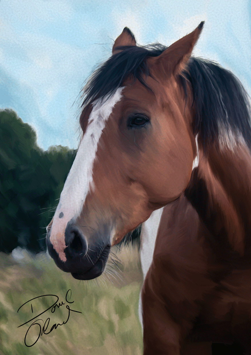 painting of horse portrait - sample 02