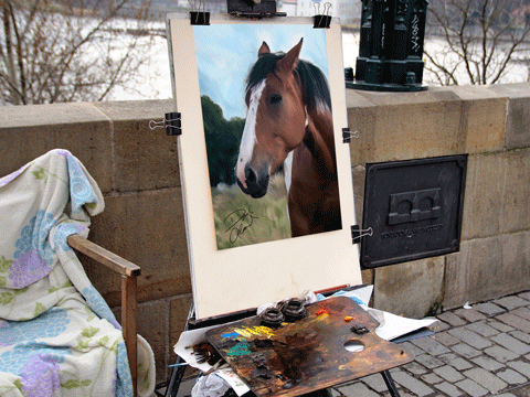 sample horse portrait