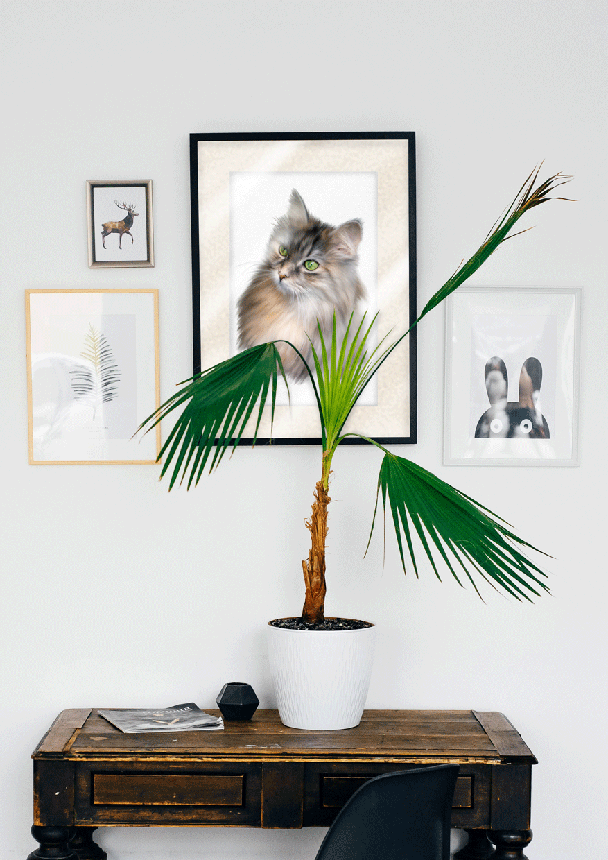 cat01-framed-in-sit