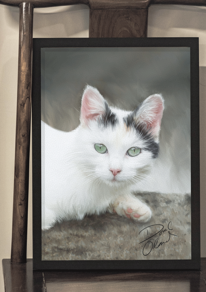 cat02-framed-in-situ