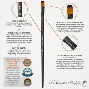 DArtisan Acrylic Paint Brush Set infographic
