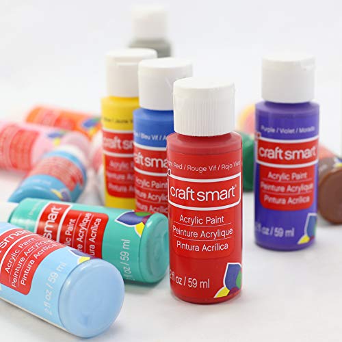 Craft Smart Acrylic Paint Set Value Pack close up