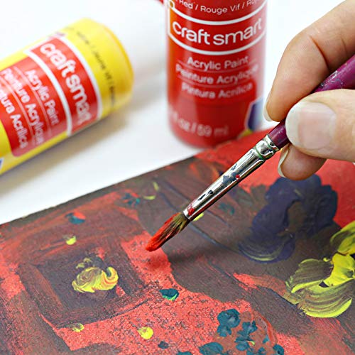 Craft Smart Acrylic Paint Set Value Pack in action