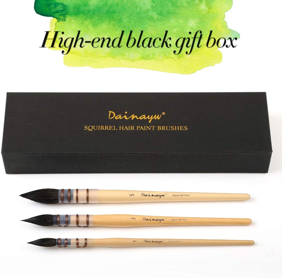 Dainayw Watercolor Paint Brushes kit