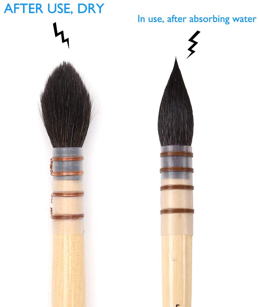 Dainayw Watercolor Paint Brushes info