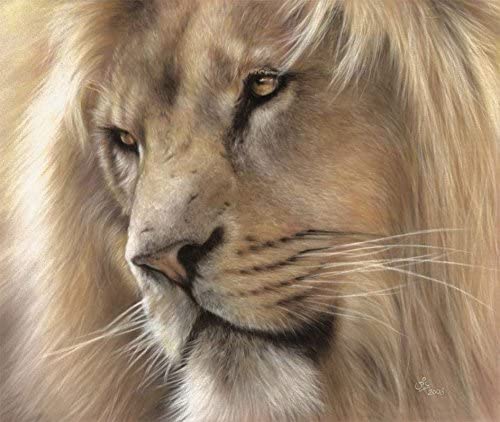 SAA Artists' Soft Pastel lion artwork