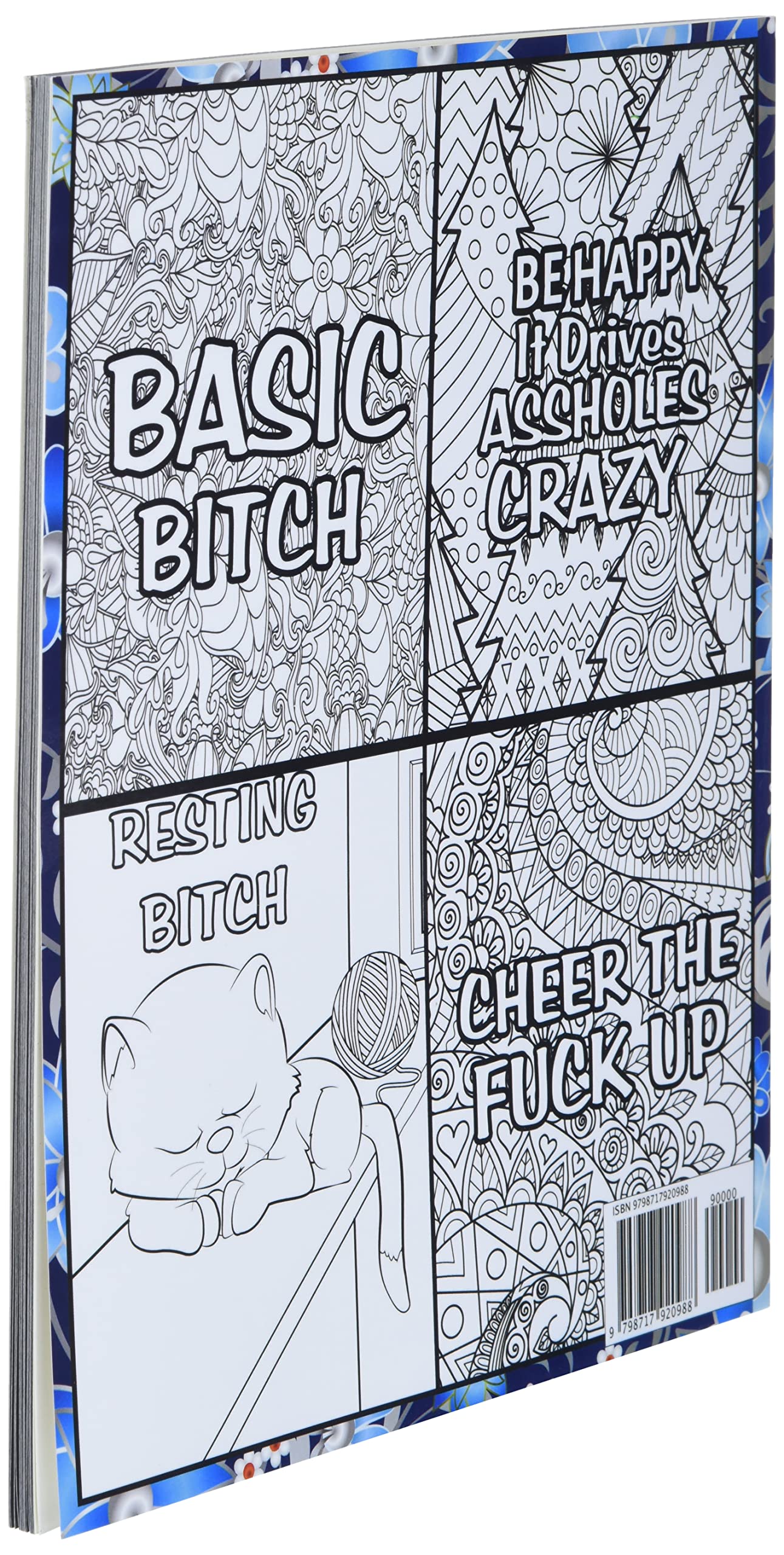 You Fucking Got This Motivational Swear Words Coloring Book sample page