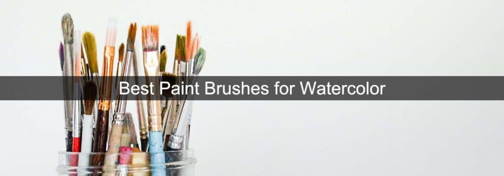Best Paint Brushes for Watercolor