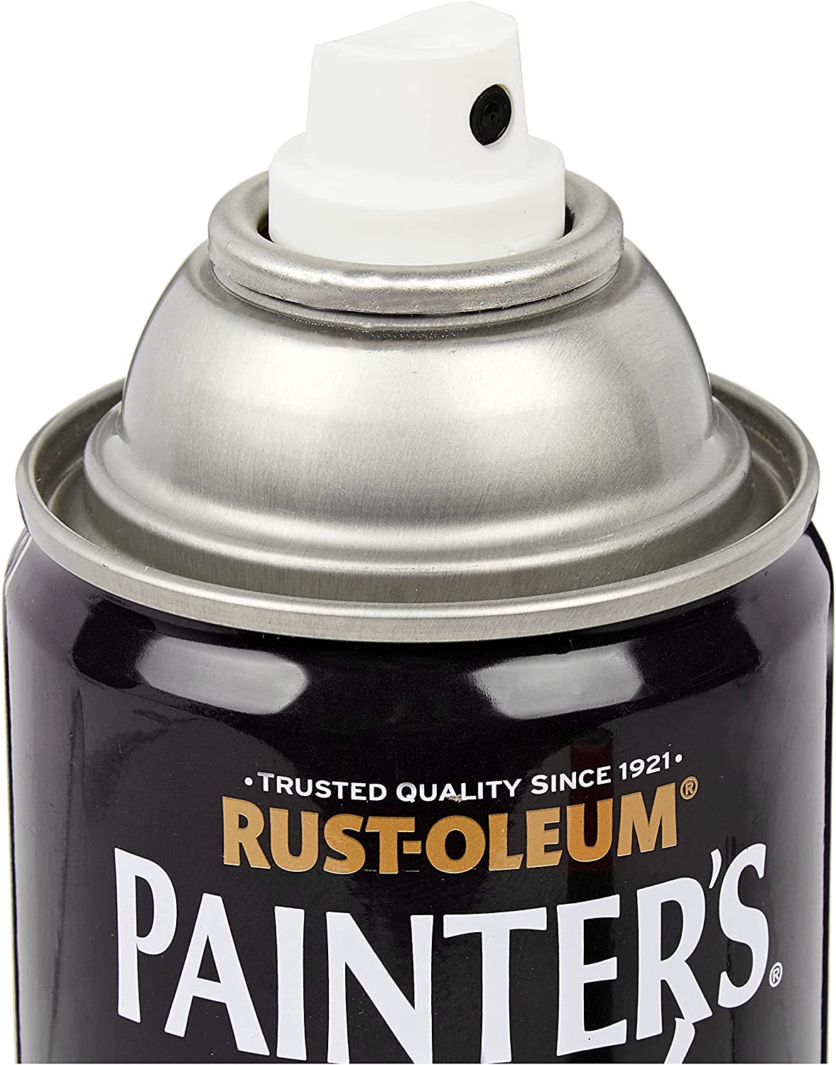 Rust-Oleum 400ml Painter's Touch Spray Paint close up