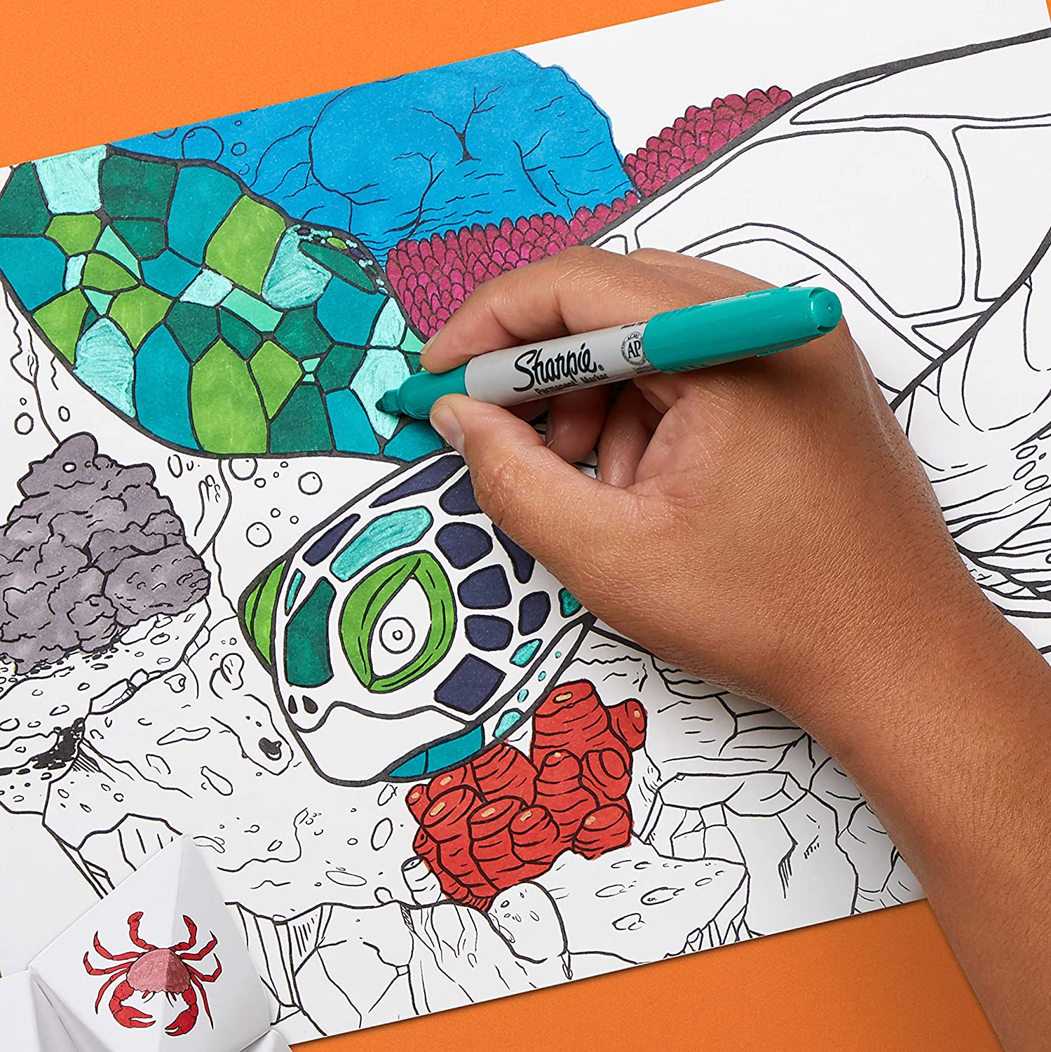SHARPIE Color Burst Markers coloring book