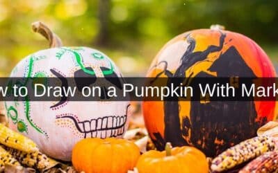 How to Draw on a Pumpkin With Markers